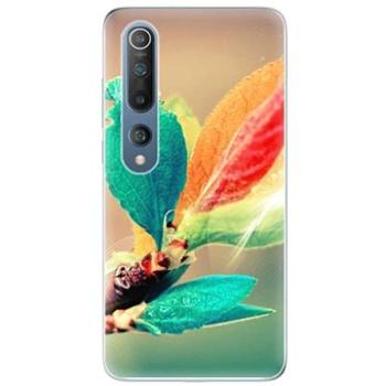 iSaprio Autumn pro Xiaomi Mi 10 / Mi 10 Pro (aut02-TPU3_Mi10p)