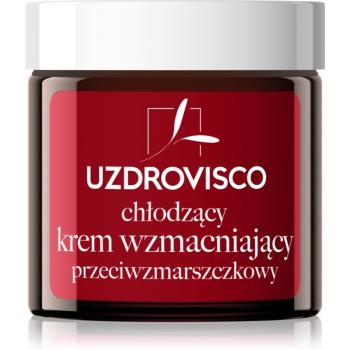 Uzdrovisco Cica Cooling Strengthening Anti-Wrinkle Cream pleťový krém proti vráskám s chladivým účinkem 50 ml