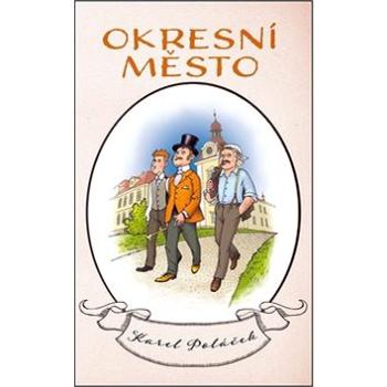 Okresní město (978-80-7335-391-9)