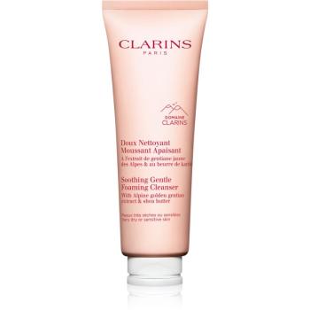 Clarins Cleansing Soothing Gentle Foaming Cleanser jemná odličovací pěna se zklidňujícím účinkem 125 ml