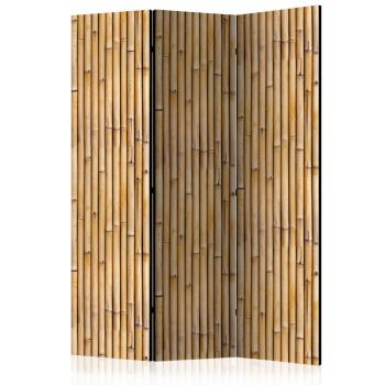 Paraván Amazonian Wall Dekorhome 135x172 cm (3-dílný)