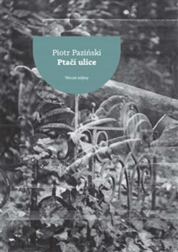 Ptačí ulice (Defekt) - Piotr Paziński