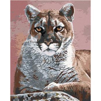 Zuty - Malování podle čísel - PORTRÉT PUMA (AL AGNEW), 80x100 cm, vypnuté plátno na rám (HRAmmb05903nad)