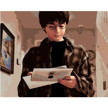 Zuty - Malování podle čísel - HARRY POTTER OBDRŽEL DOPIS Z BRADAVIC, 40x50 cm, vypnuté plátno na rám (HRAmmb00039nad)