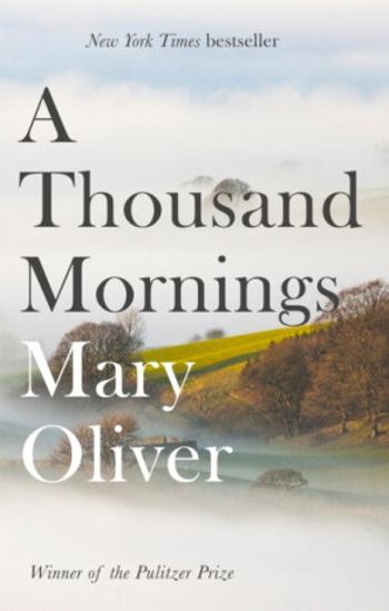 A Thousand Mornings - Oliver Mary