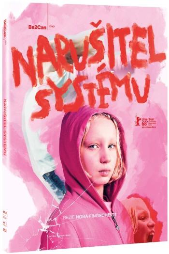 Narušitel systému (DVD)