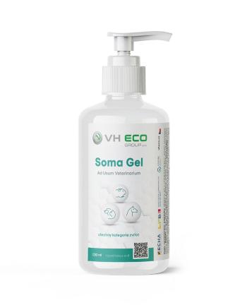 VH ECO Soma Gel 100 ml