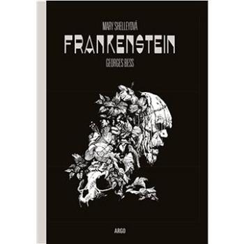 Frankenstein   (978-80-257-3814-6)