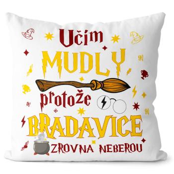 Polštářek Učím mudly (Velikost: 55 x 55 cm)