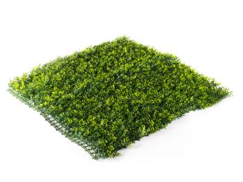 Umělý živý plot Hawaj Buxus High žlutý | Stěna 100 x 100 cm