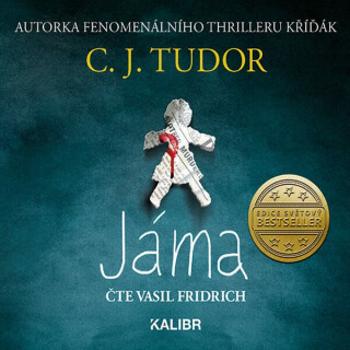 Jáma - C. J. Tudorová - audiokniha