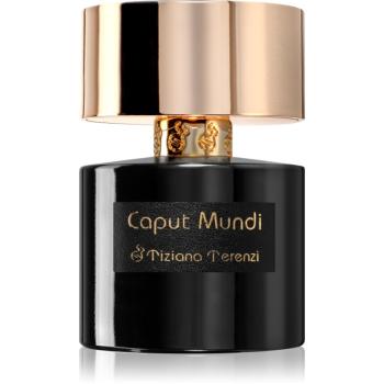 Tiziana Terenzi Caput Mundi parfémový extrakt unisex 100 ml