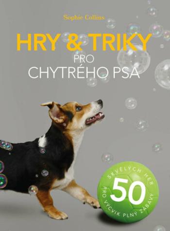 Hry a triky pro chytrého psa - 50 skvělých her pro výcvik plný zábavy - Sophie Collins