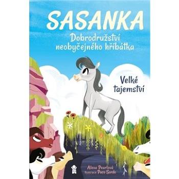 Sasanka Velké tajemství: Dobrodružství neobyčejného hříbátka (978-80-242-7128-6)