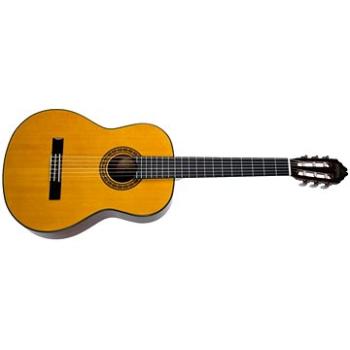 WASHBURN C40-A-U (HN183550)