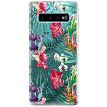 iSaprio Flower Pattern 03 pro Samsung Galaxy S10 (flopat03-TPU-gS10)