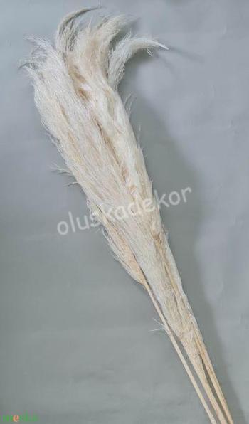 Pampafű 120cm fehérített