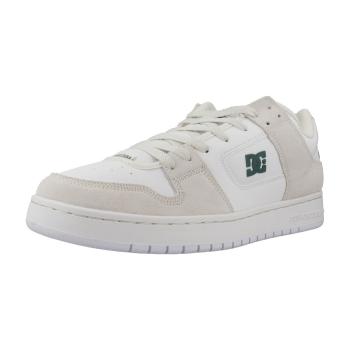 DC Shoes  MANTECA SE  Módne tenisky Biela