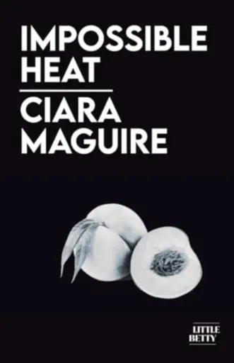 Impossible Heat - Ciara Maguire