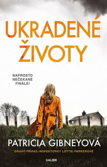 Ukradené životy - Patricia Gibneyová - e-kniha