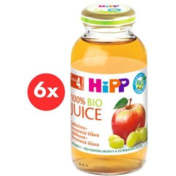 HiPP BIO Jablečno-hroznová šťáva - 6× 200 ml (9062300402497)