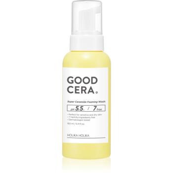 Holika Holika Good Cera exfoliační čisticí pěna s ceramidy 160 ml