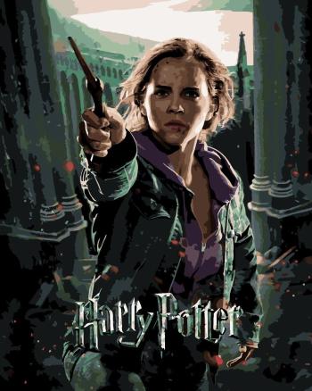 Zuty Maľovanie podľa čísel Plagát Harry Potter a Dary smrti – Hermiona