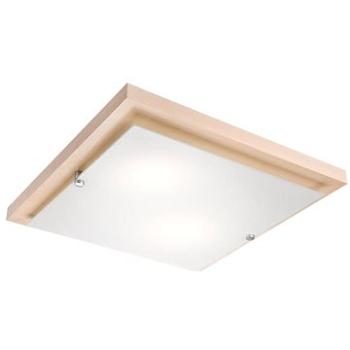 LED Stropní svítidlo 1xLED/24W/230V (89401)