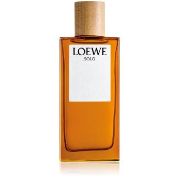 Loewe Solo toaletní voda pro muže 100 ml