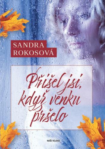 Přišel jsi, když venku pršelo - Sandra  Rokosová