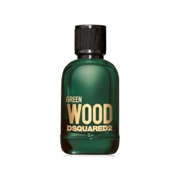 Dsquared2 Green Wood toaletní voda 100 ml