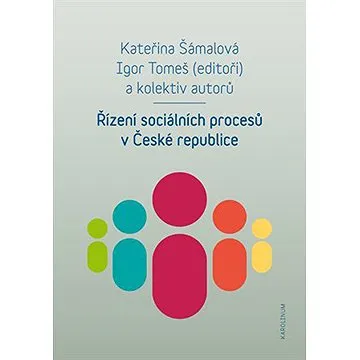 Řízení sociálních procesů v České republice (9788024641898)