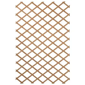 Nature Zahradní treláž 100 x 200 cm dřevo přírodní 6041703 (409346)