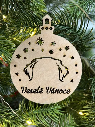 Vsepropejska Vánoční baňka s zlatý retriever – ozdoba na stromeček Typ: Baňka 7