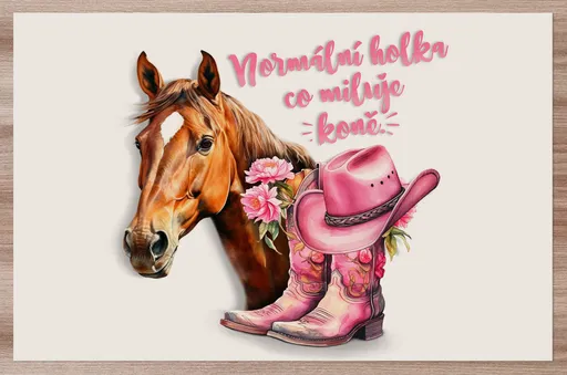 Prostírání Holka, co miluje koně