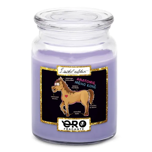 Svíčka Anatomie mého koně (Vůně svíčky: Levandule)