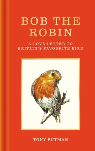 Bob the Robin - Tony Putman