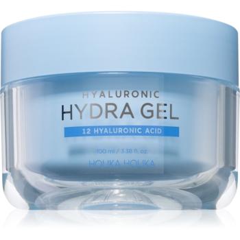 Holika Holika Hyaluronic hydratační gelový krém s kyselinou hyaluronovou 100 ml