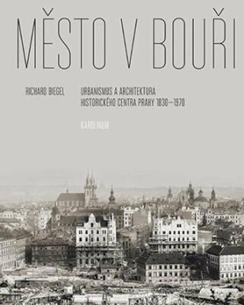 Město v bouři - Richard Biegel