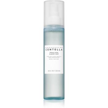 SKIN1004 Madagascar Centella Hyalu-Cica Cloudy Mist hydratační mlha se zklidňujícím účinkem 120 ml