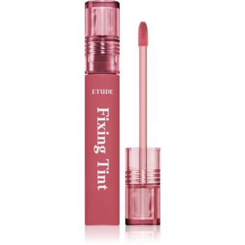 ETUDE Fixing Tint dlouhotrvající rtěnka s matným efektem odstín #07 Cranberry Plum 4 g