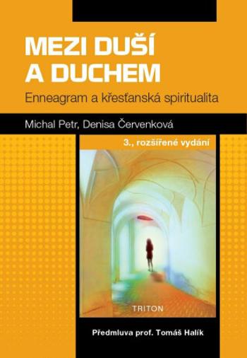 Mezi duší a duchem - Enneagram a křesťanská spiritualita - Denisa Červenková, Michal Petr