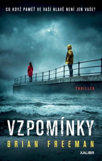 Vzpomínky - Brian Freeman - e-kniha