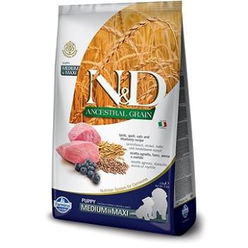 N&D ancestral grain dog puppy M/L lamb & blueberry 12 kg (8010276033727)