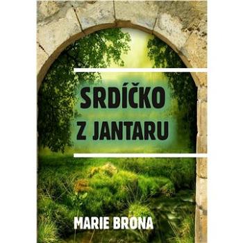 Srdíčko z jantaru (999-00-029-4900-5)