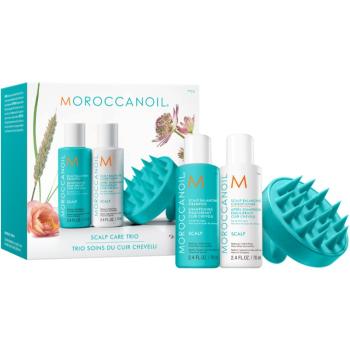 Moroccanoil Scalp Discovery Set sada pro mastnou pokožku hlavy proti lupům