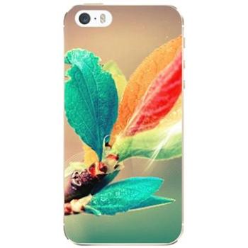 iSaprio Autumn pro iPhone 5/5S/SE (aut02-TPU2_i5)