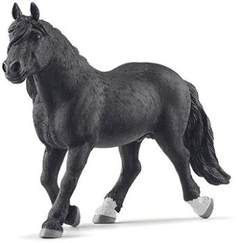 Schleich Norický hřebec (4059433637594)