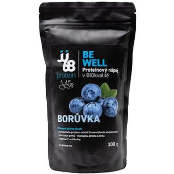 JJ68 BE WELL - BIO konopný protein BORŮVKA 300 g (67)