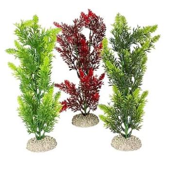 Ebi Aqua Della Elodea Densa M mix barev 25 cm 1 ks (4047059458402)